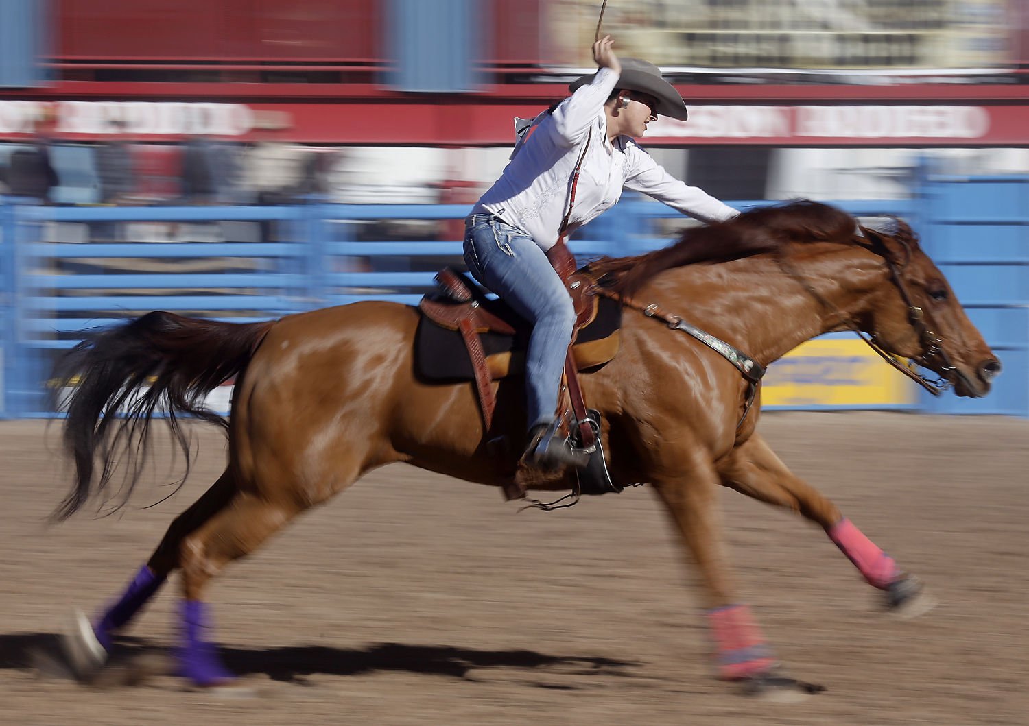 La Fiesta de los Vaqueros